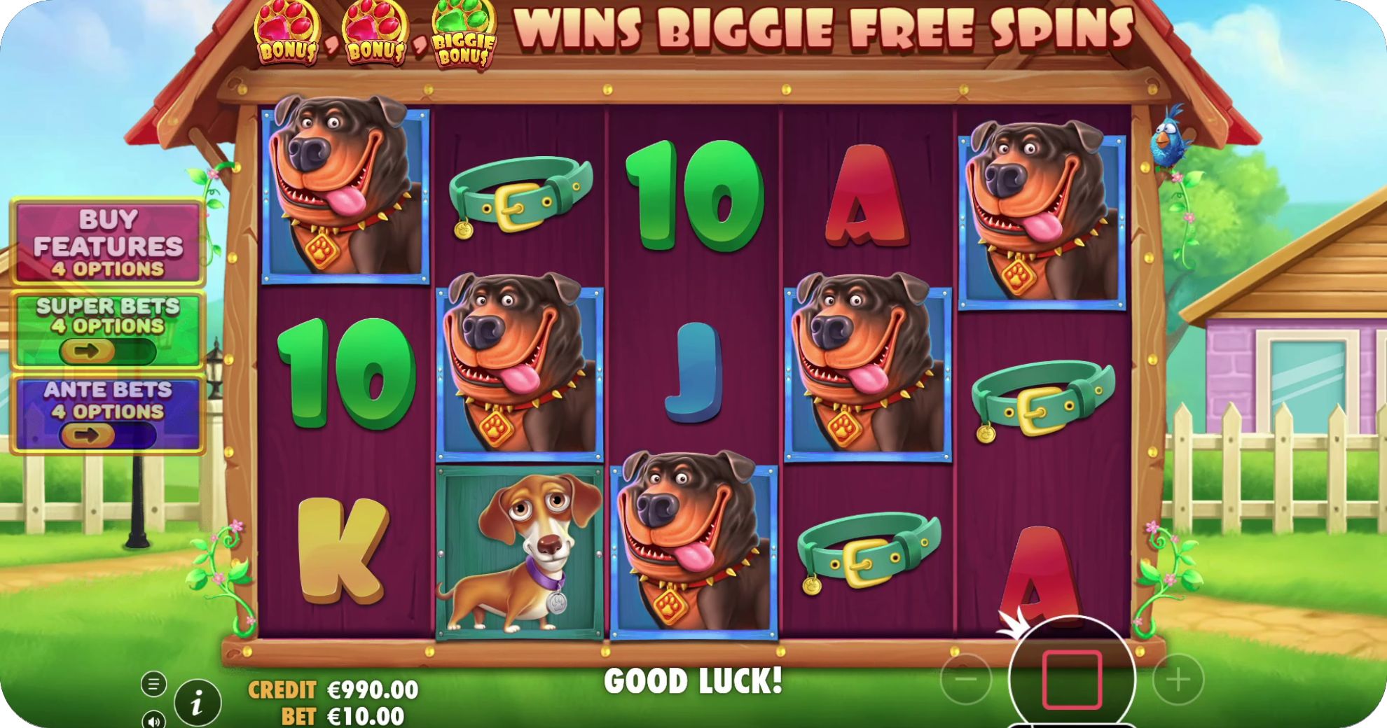 The Big Dog House: cómo jugar, RTP, premios y bonos
