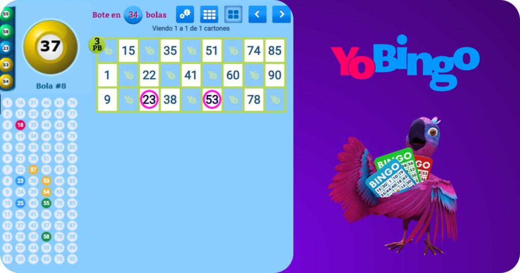 banner YoBingo Cartones