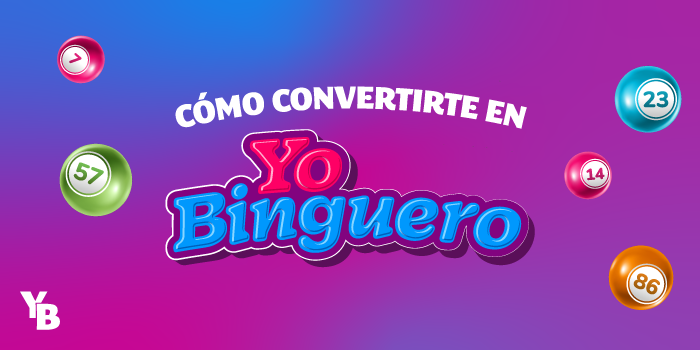 Cómo ser un YoBinguero al 100%