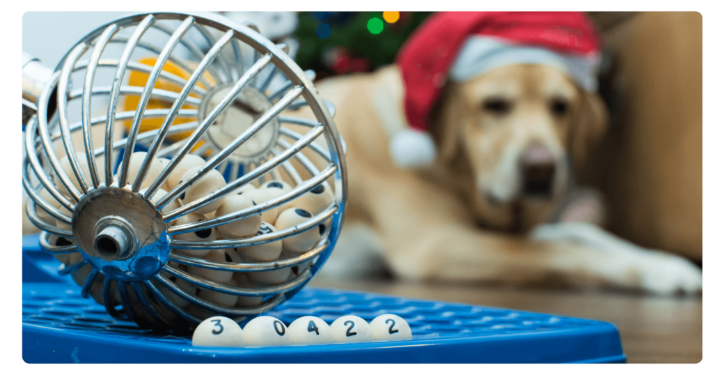 Bombo con números y de fondo un perro con un gorro de navidad.